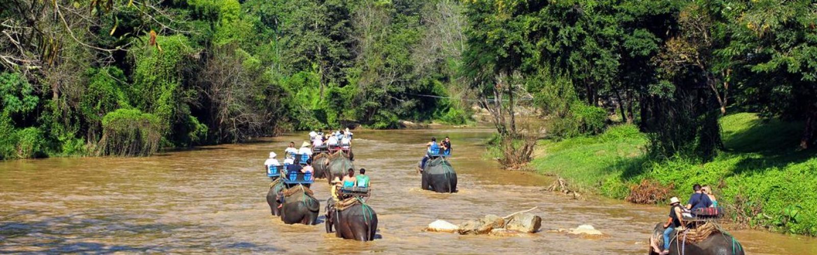 Thailand Nature & Wildlife