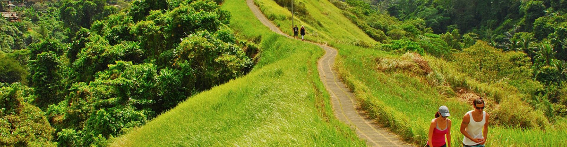 Destinations in Campuhan Ridge 