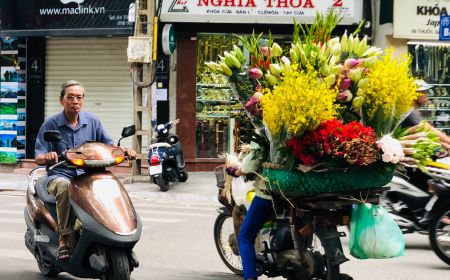 Highlights Of Vietnam