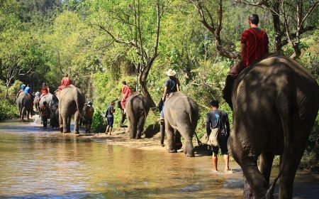 Highlights Of The North