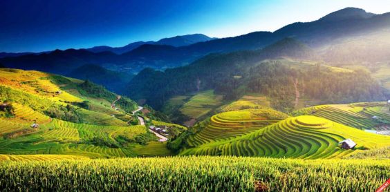 Marcher et trekking