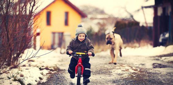 Biking Tours