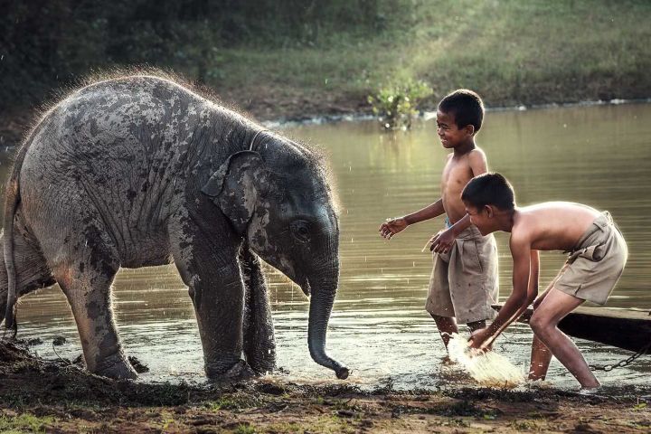 Luang Prabang Family Trip