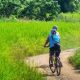 Cycling Chiang Mai To Chiang Rai